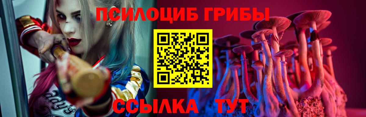 Галлюциногенные грибы ЛСД  Псилоцибиновые грибы ЛСД  Ангарск  Вход с VPN 